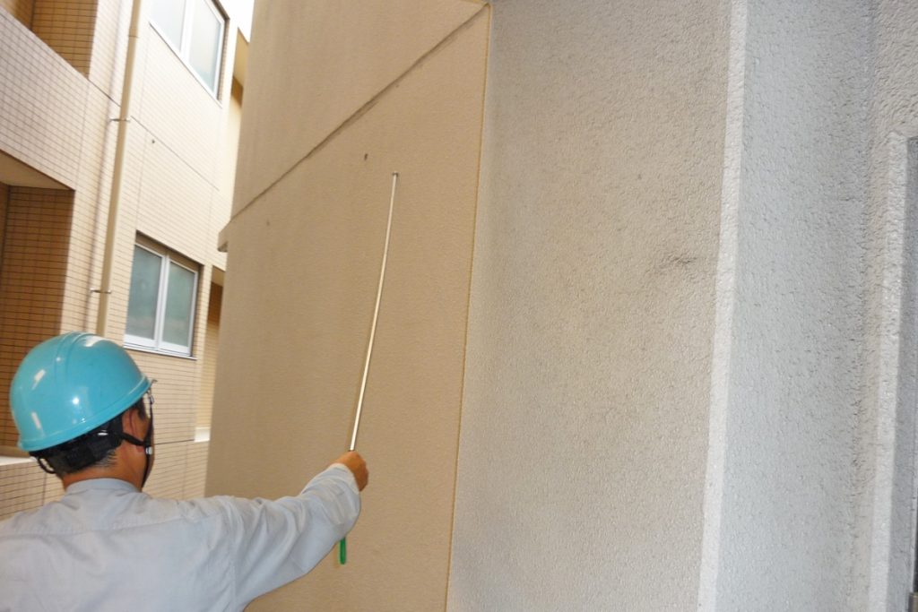 画像：目視調査